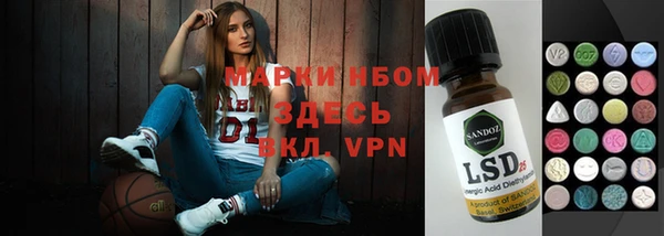 СК Вязьма