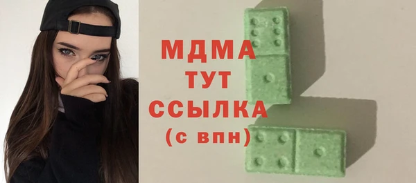 индика Горняк