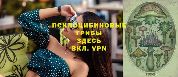 СК Вязьма